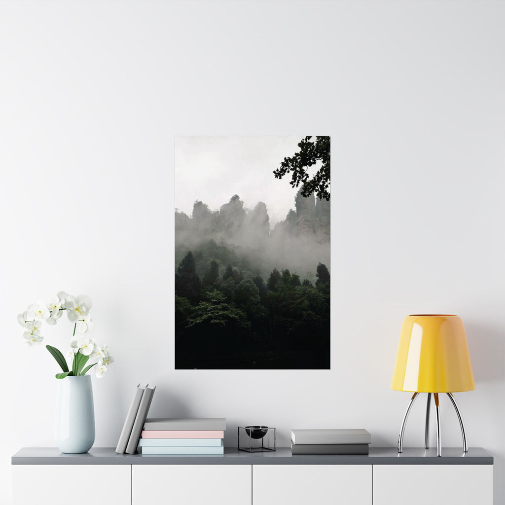 Misty Forest