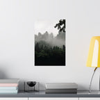 Misty Forest