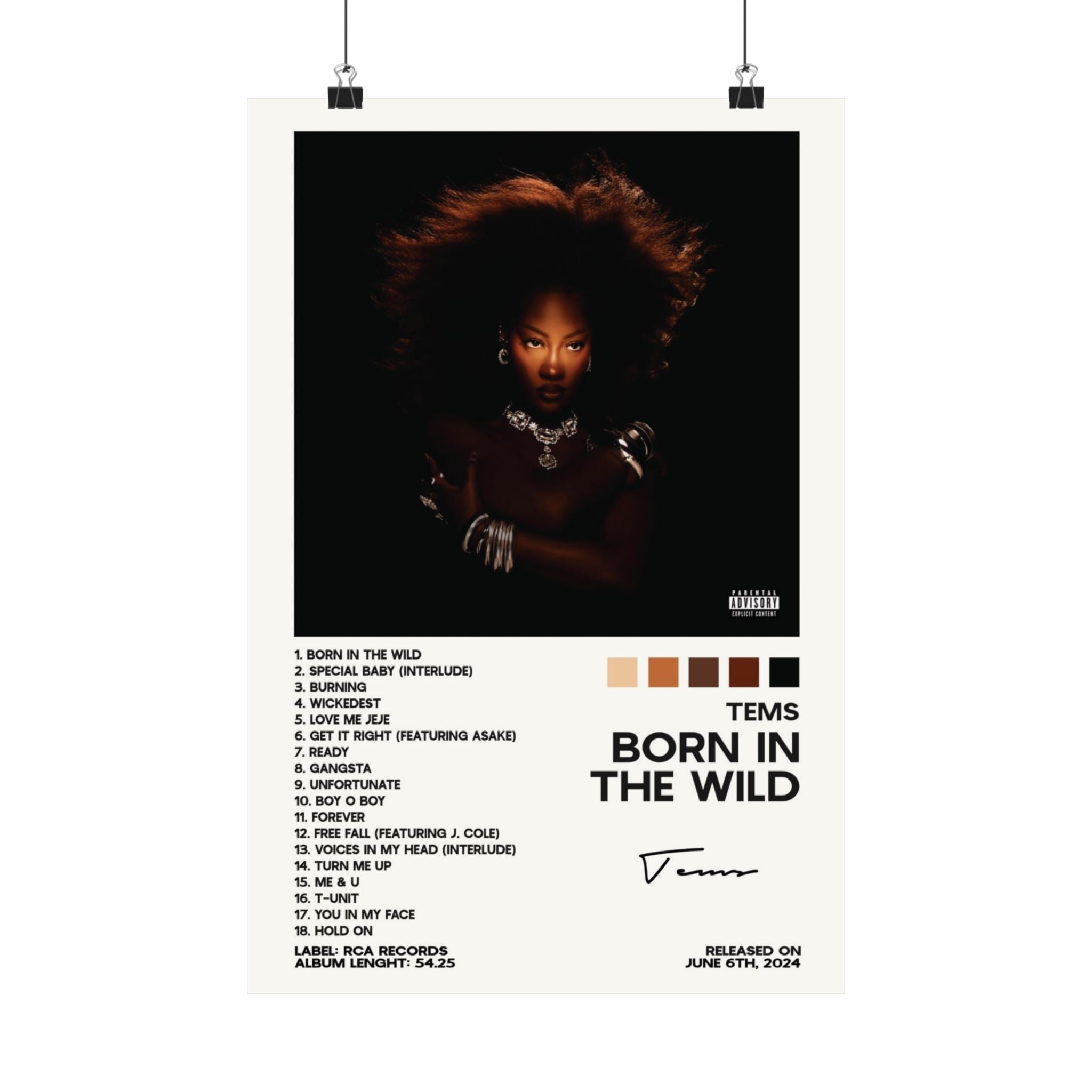 Born In The Wild - Tems