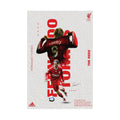 Fernando Torres - Liverpool Legend