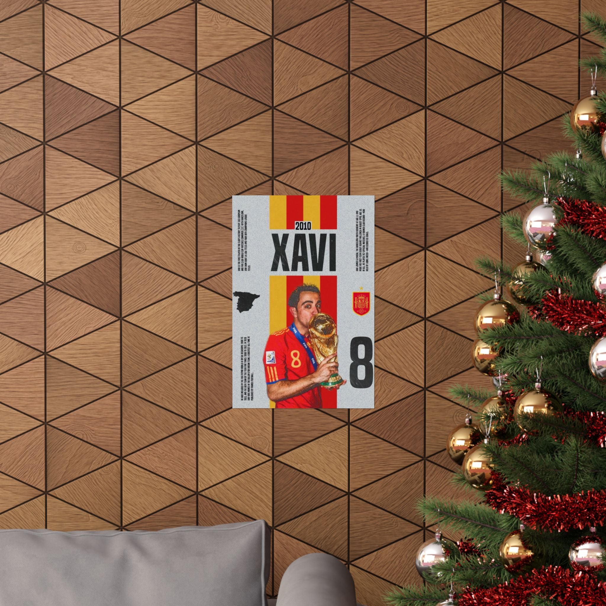 Xavi - 2010 World Cup
