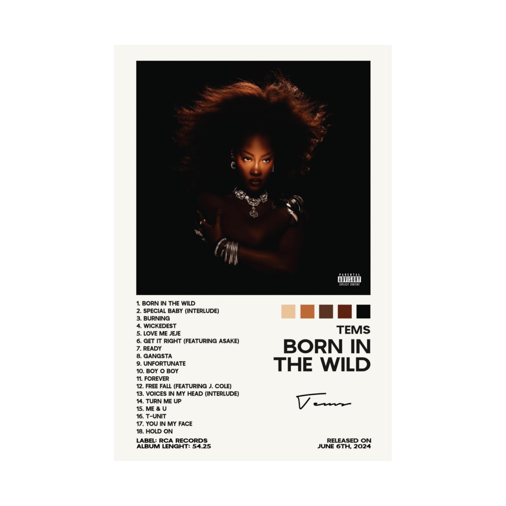 Born In The Wild - Tems
