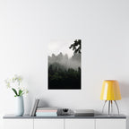 Misty Forest